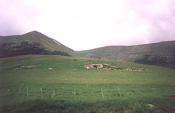 Shepherd's huts near Castelluccio