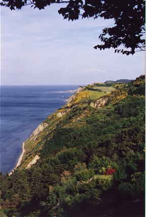 View from the Panoramica Adriatico, north of Pesaro