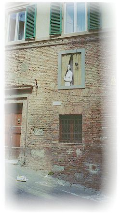 25f.jpg (Siena - A novel window)