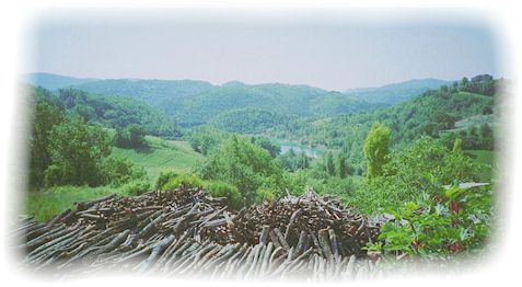 12.jpg (On the climb from Spoleto to Aquasparta)