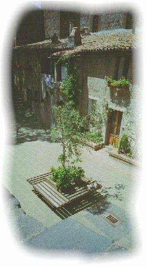 24f.jpg (Bolsena - Cat asleep in shade)